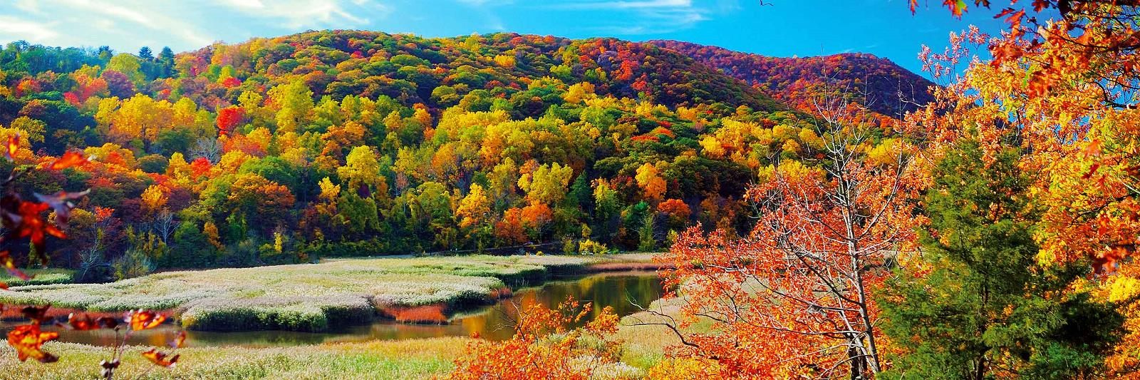 Autumn color above a river valley
